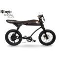 Bicicleta eléctrica Rayvolt Ringo